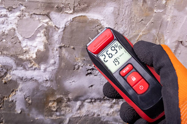 Best Fast Mold Removal  in Rock Island, IL
