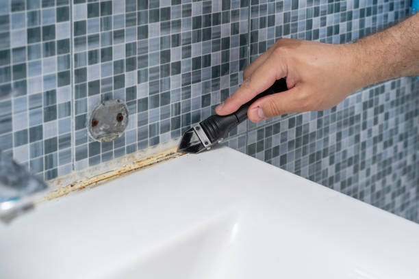 Rock Island, IL Mold Removal Company